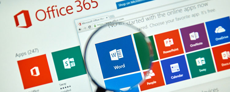 Microsoft Office 365 Business Solutions